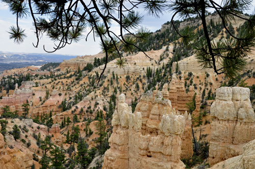 eye level fiew of hoodoos